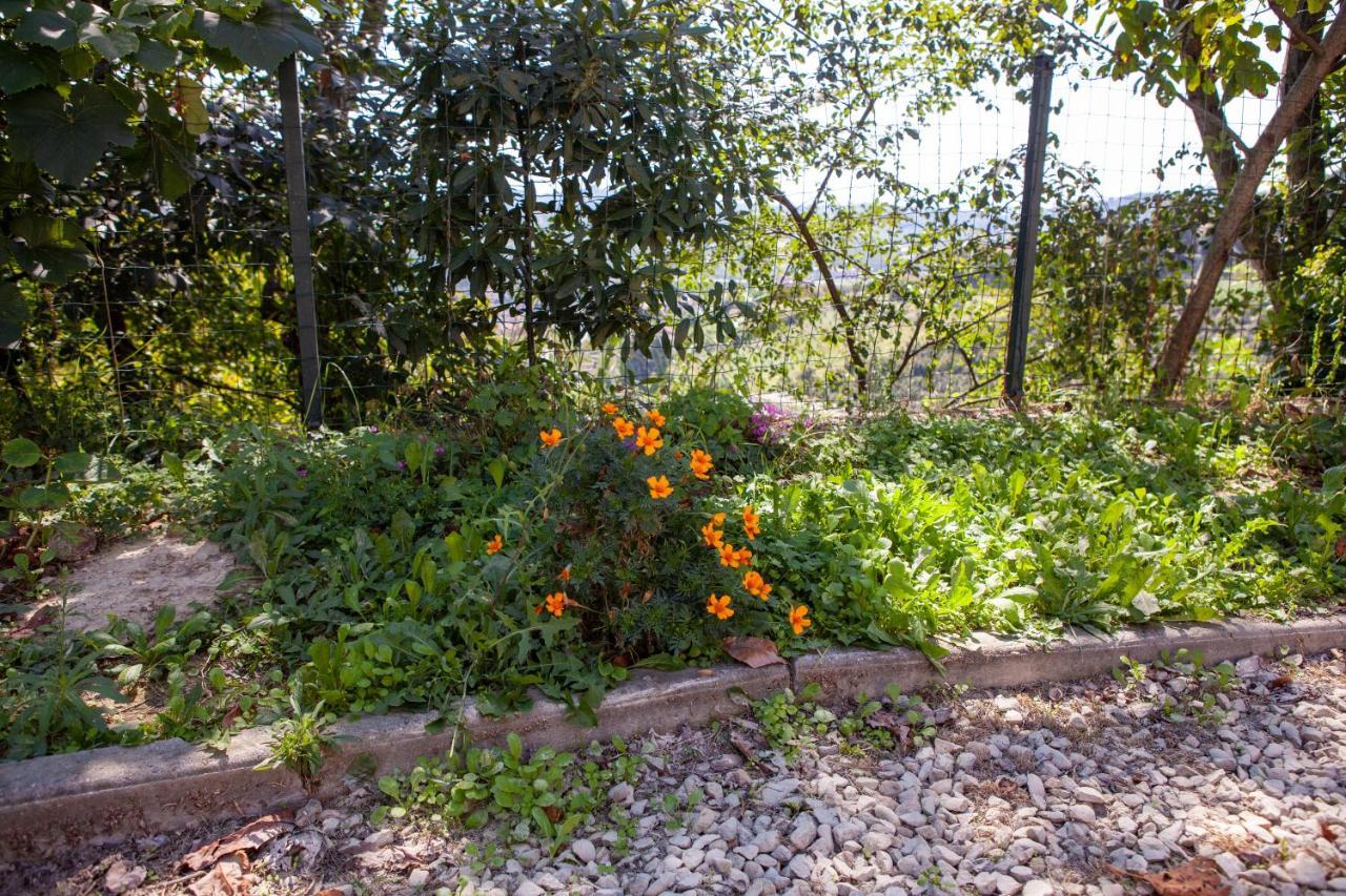 Apartamento La casa Rosa Piobesi d'Alba Exterior foto
